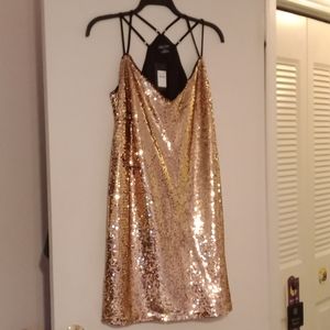 NWT City Chic Glimmer Dress in Blush, Size 16 (S)